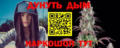 индика Братск
