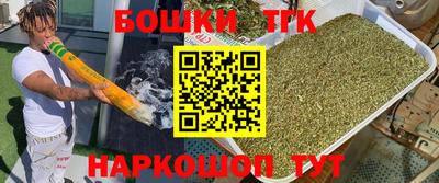 индика Братск