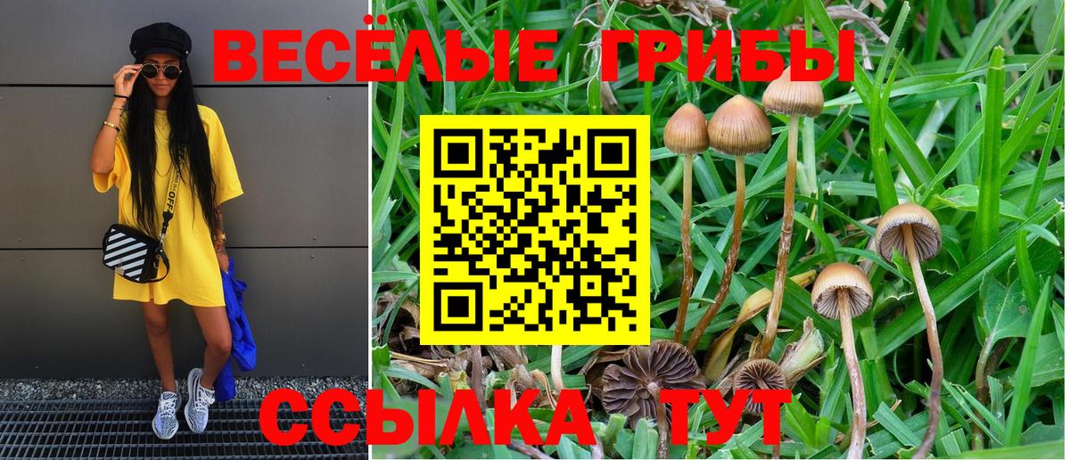 Галлюциногенные грибы GOLDEN TEACHER Мценск